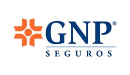 s-01-gnp1